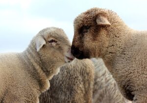 なぜ不倫はなくならないのか-引き寄せ的観点